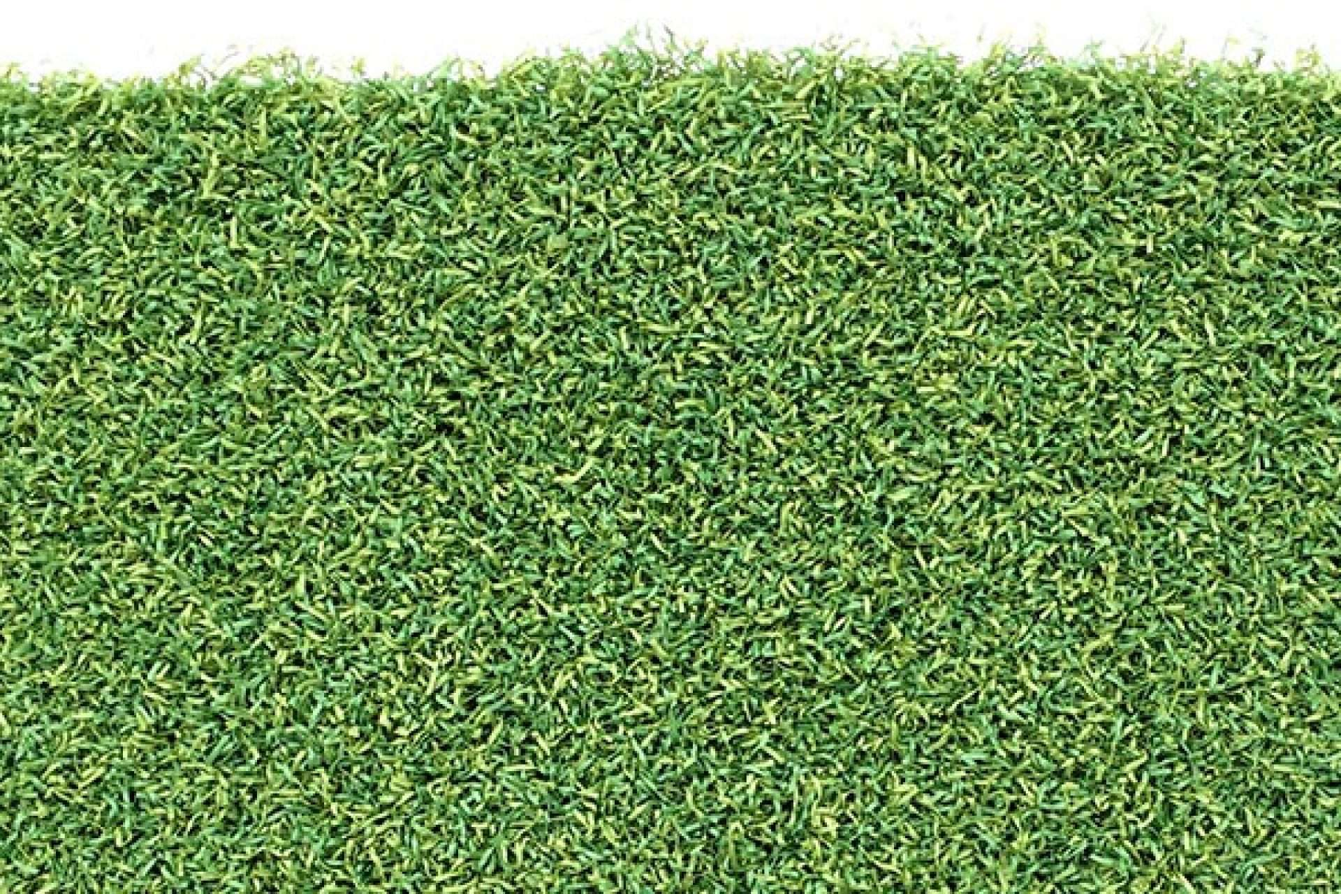 product image for Country Club