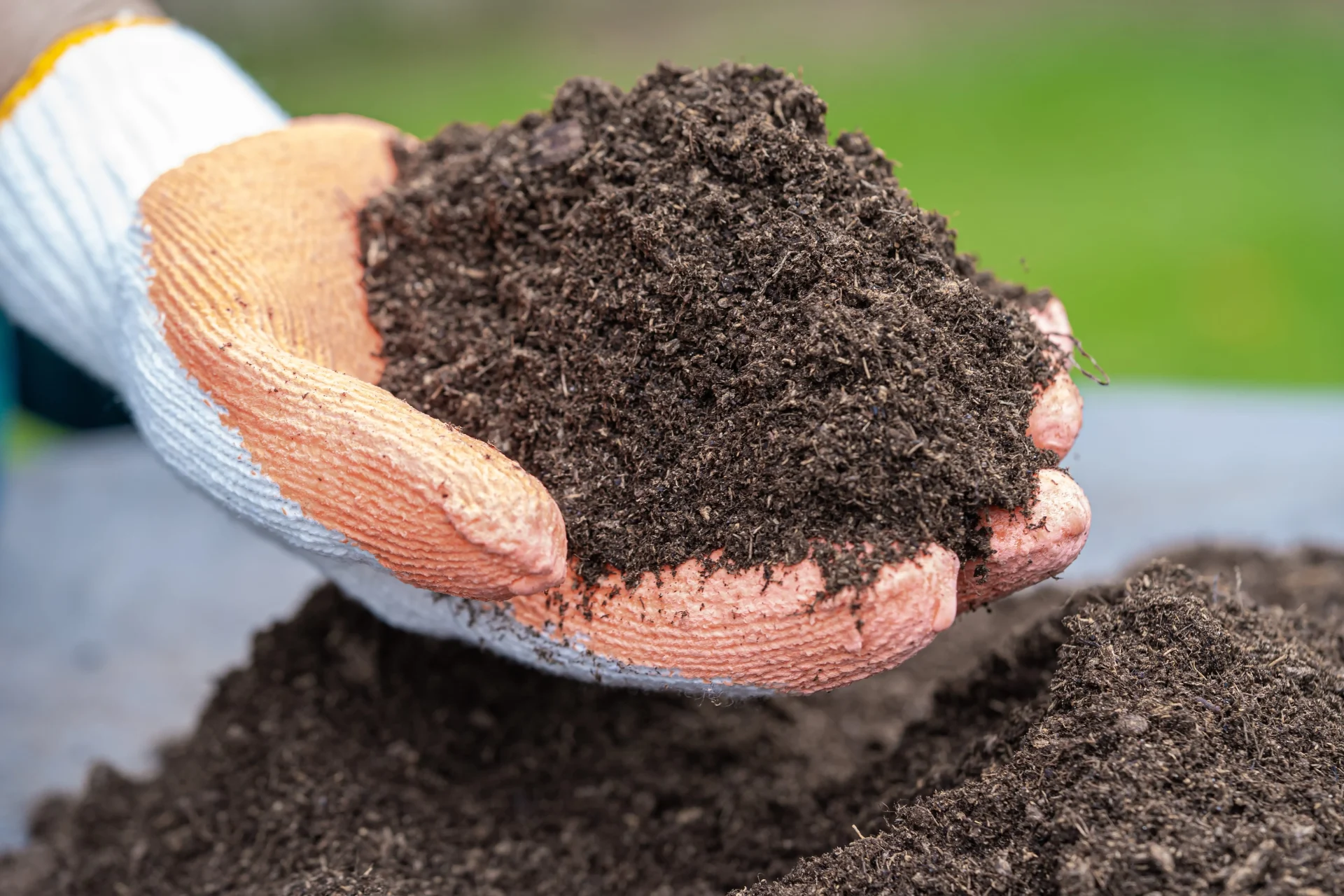 Top Soil